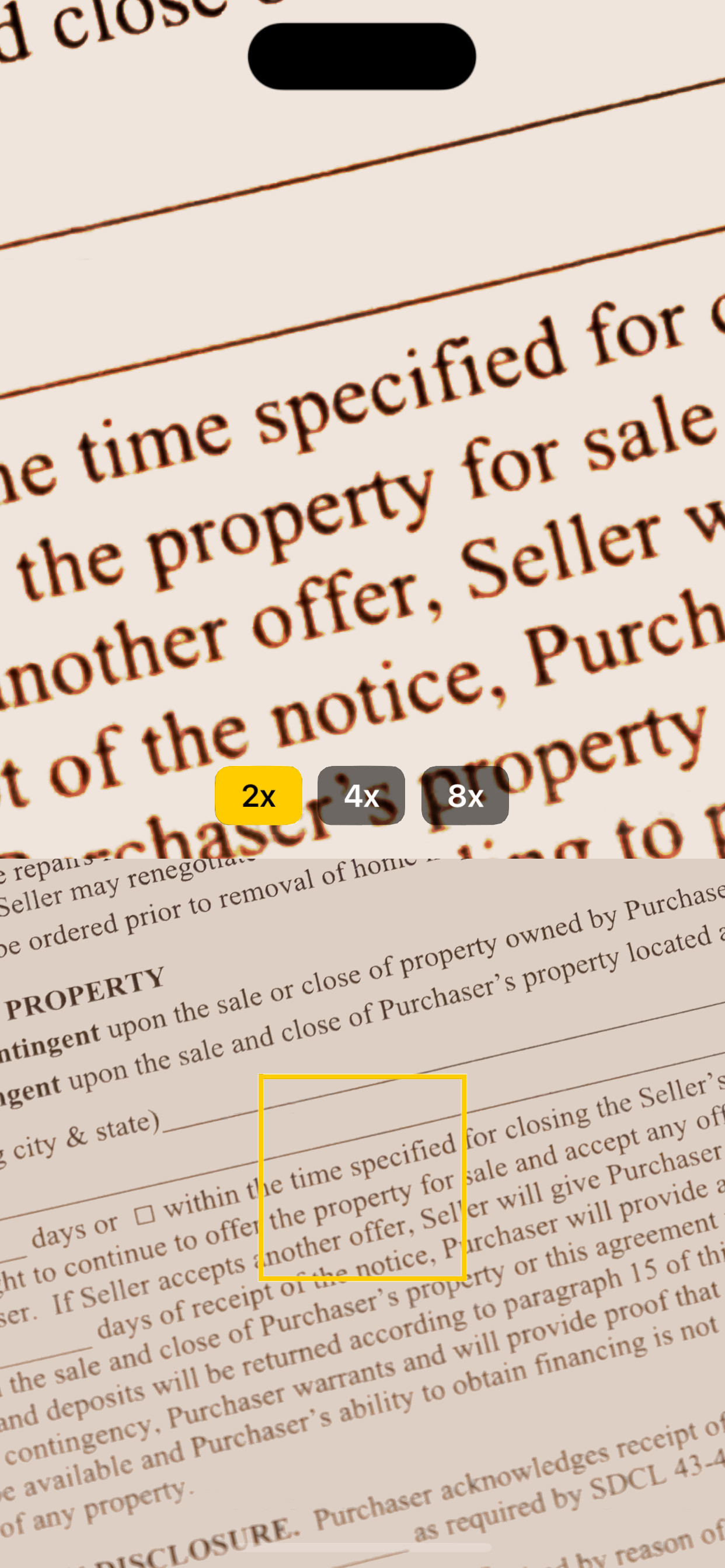 Magnifying Glass + Contrast split-view interface
